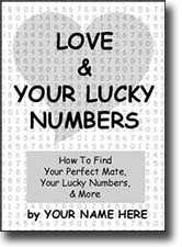 Love & Your Lucky Numbers pitch book